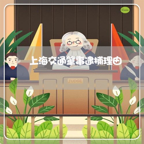 上海交通肇事逮捕理由/2023021284160 上海交通肇事逮捕理由/2023021284160