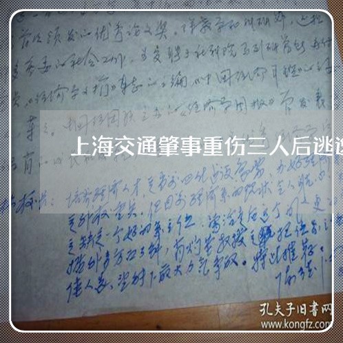 上海交通肇事重伤三人后逃逸/2023033002914 上海交通肇事重伤三人后逃逸/2023033002914