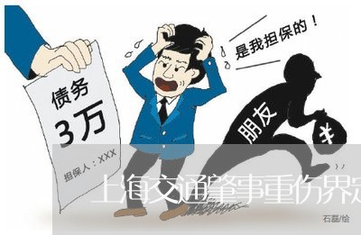 上海交通肇事重伤界定标准/2023031728060 上海交通肇事重伤界定标准/2023031728060