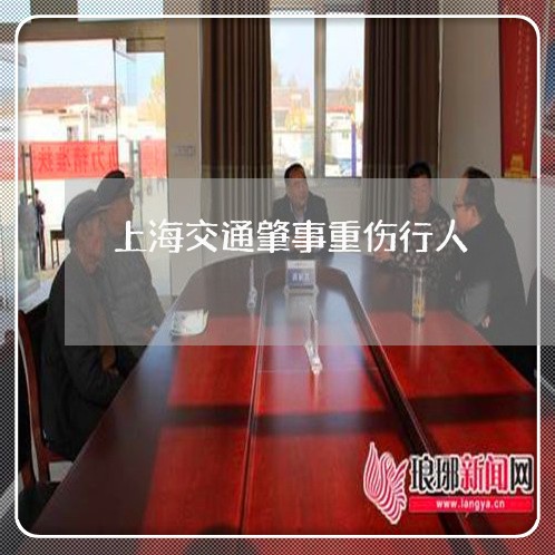 上海交通肇事重伤行人/2023021228248 上海交通肇事重伤行人/2023021228248