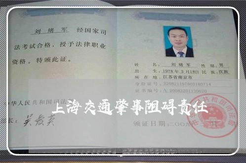 上海交通肇事阻碍责任/2023021194815 上海交通肇事阻碍责任/2023021194815