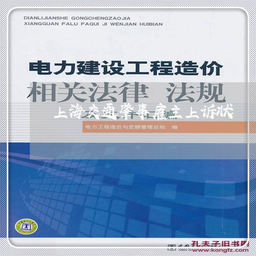 上海交通肇事雇主上诉状/2023042175059