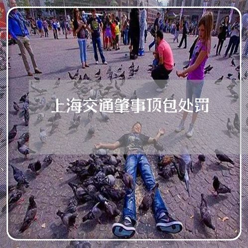 上海交通肇事顶包处罚/2023021116048 上海交通肇事顶包处罚/2023021116048