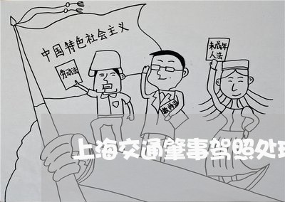 上海交通肇事驾照处理/2023021271693 上海交通肇事驾照处理/2023021271693