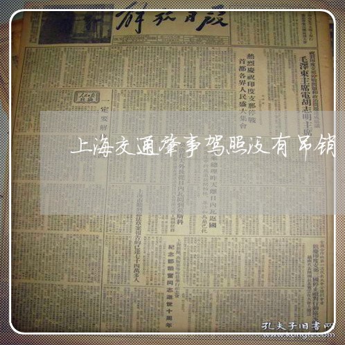 上海交通肇事驾照没有吊销/2023031838268