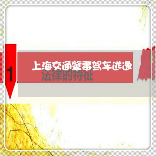 上海交通肇事驾车逃逸/2023021262585 上海交通肇事驾车逃逸/2023021262585