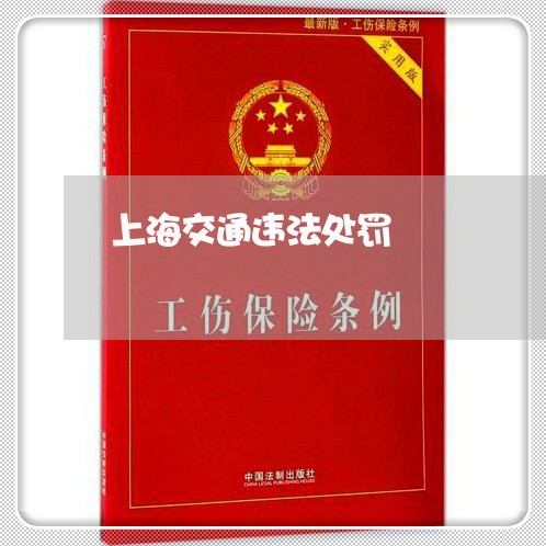 上海交通违法处罚 上海交通违法处罚