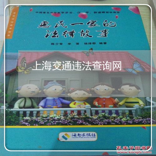 上海交通违法查询网