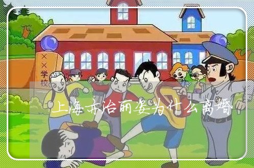上海亦治丽姿为什么离婚/2023022792938 上海亦治丽姿为什么离婚/2023022792938