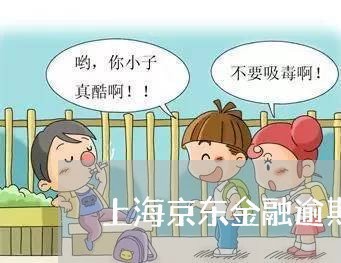 上海京东金融逾期协商还款 上海京东金融逾期协商还款