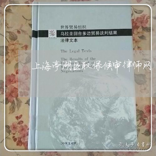 上海亭湖区取保候审律师网/2023033081405