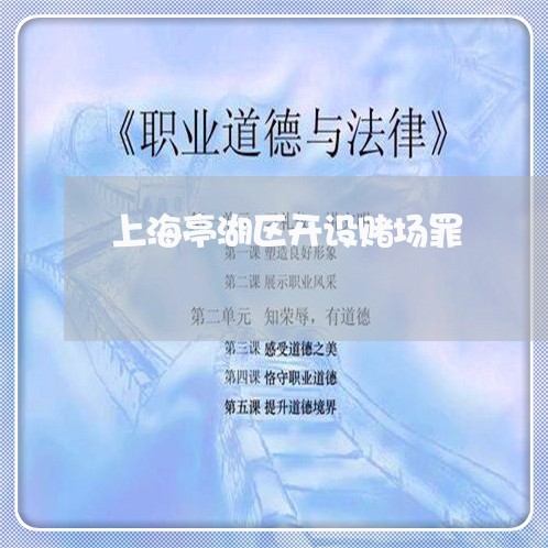 上海亭湖区开设赌场罪/2023021152584