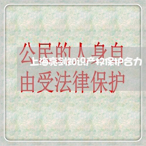 上海亮剑知识产权保护合力/2023031772573