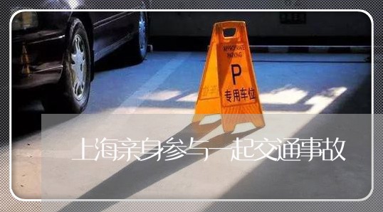 上海亲身参与一起交通事故/2023031784048 上海亲身参与一起交通事故/2023031784048