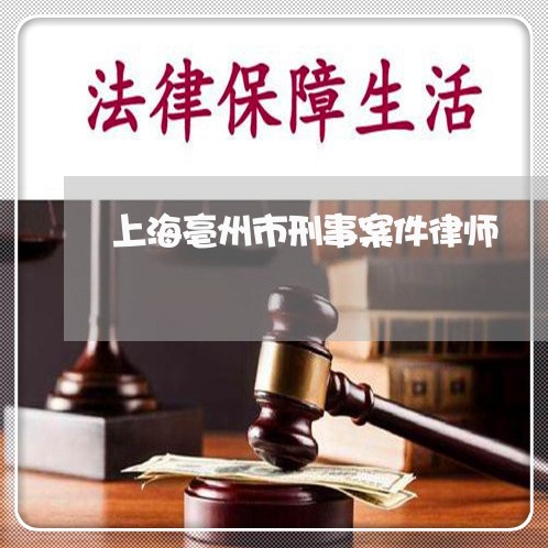 上海亳州市刑事案件律师/2023022862716 上海亳州市刑事案件律师/2023022862716