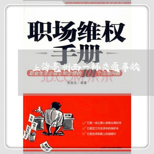 上海亳州西一环交通事故/2023022815939 上海亳州西一环交通事故/2023022815939