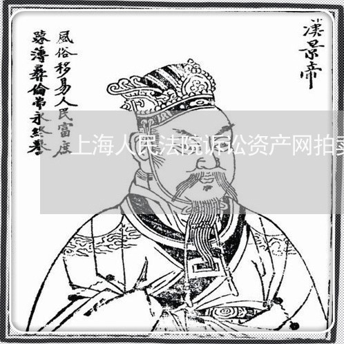 上海人民法院诉讼资产网拍卖 上海人民法院诉讼资产网拍卖