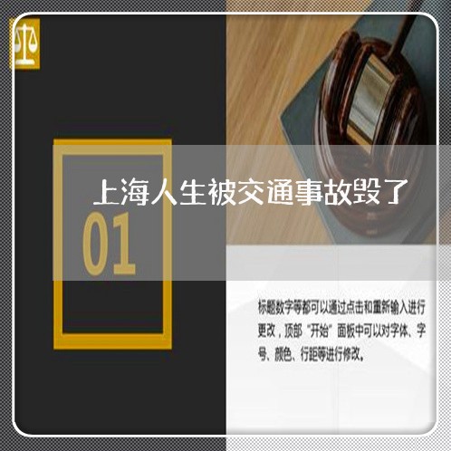 上海人生被交通事故毁了/2023022856159 上海人生被交通事故毁了/2023022856159