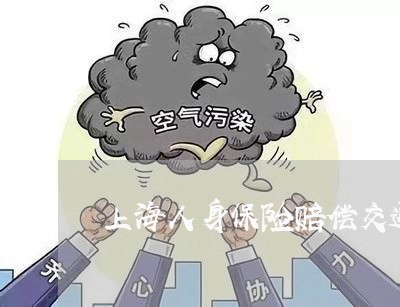 上海人身保险赔偿交通肇事/2023031794825 上海人身保险赔偿交通肇事/2023031794825