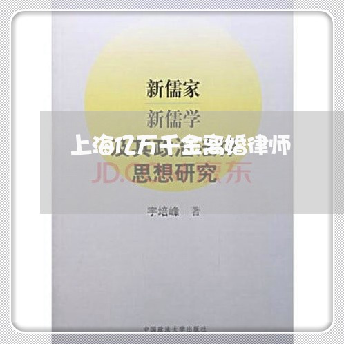 上海亿万千金离婚律师/2023021149572 上海亿万千金离婚律师/2023021149572