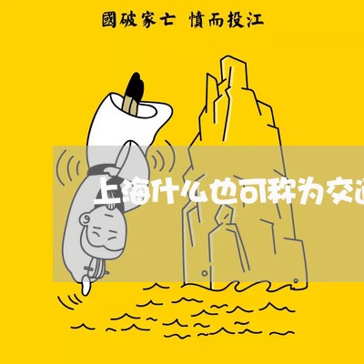 上海什么也可称为交通肇事罪/2023033116159