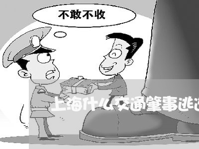 上海什么交通肇事逃逸/2023021182614 上海什么交通肇事逃逸/2023021182614