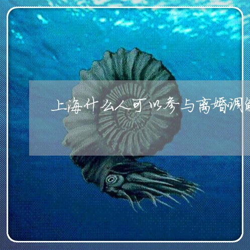 上海什么人可以参与离婚调解/2023033196026