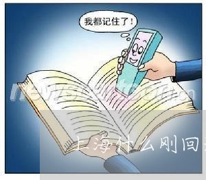 上海什么刚回来刑事犯罪律师/2023033181482 上海什么刚回来刑事犯罪律师/2023033181482