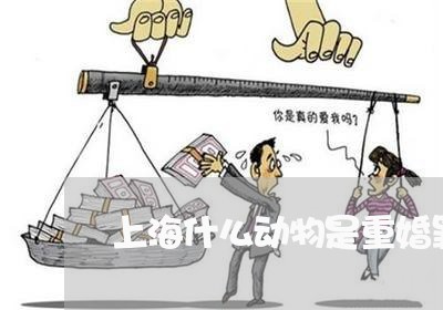 上海什么动物是重婚罪/2023021119260 上海什么动物是重婚罪/2023021119260