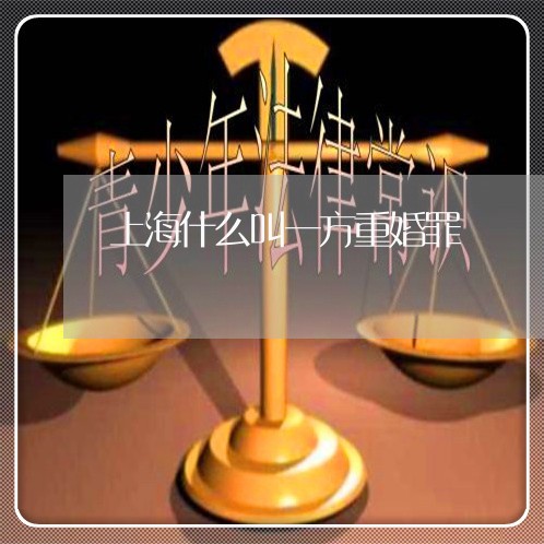 上海什么叫一方重婚罪/2023021200735 上海什么叫一方重婚罪/2023021200735