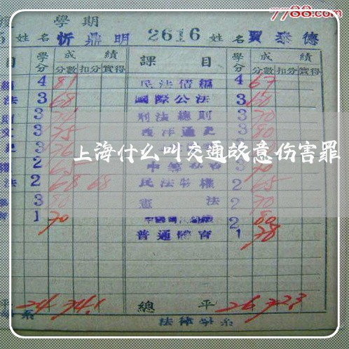 上海什么叫交通故意伤害罪/2023031706371