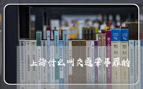 上海什么叫交通肇事罪的/2023022861786 上海什么叫交通肇事罪的/2023022861786