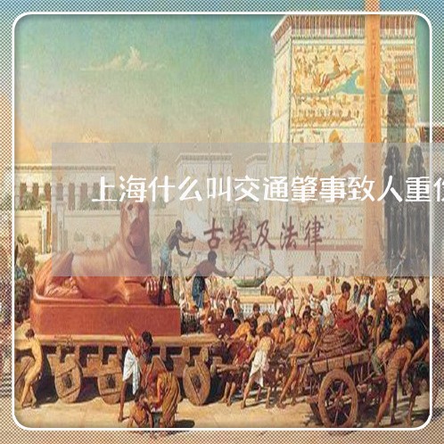 上海什么叫交通肇事致人重伤/2023033141571