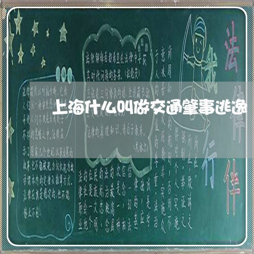 上海什么叫做交通肇事逃逸/2023031706058