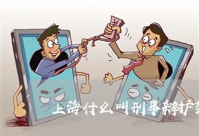 上海什么叫刑事辩护类别/2023022848162 上海什么叫刑事辩护类别/2023022848162