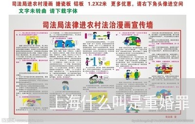 上海什么叫是重婚罪/2023032890713