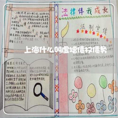 上海什么叫虚增债权债务/2023022894736