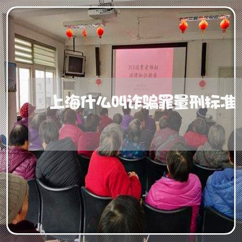 上海什么叫诈骗罪量刑标准/2023033040392