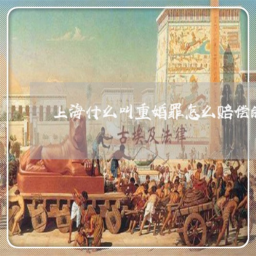 上海什么叫重婚罪怎么赔偿的/2023033195048