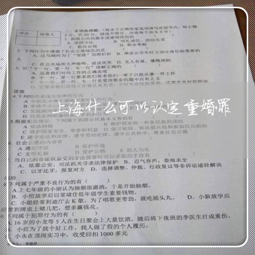 上海什么可以认定重婚罪/2023022893705