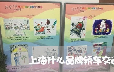 上海什么品牌轿车交通事故多/2023033147161 上海什么品牌轿车交通事故多/2023033147161