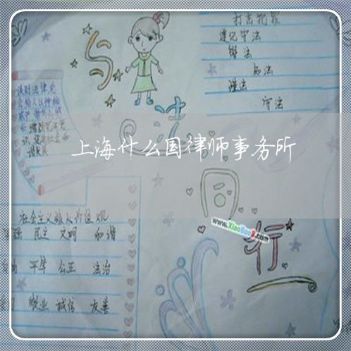 上海什么国律师事务所/2023021206268 上海什么国律师事务所/2023021206268