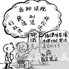 上海什么属于待剥离债权债务/2023033183926