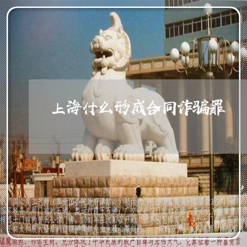 上海什么形成合同诈骗罪/2023022858270