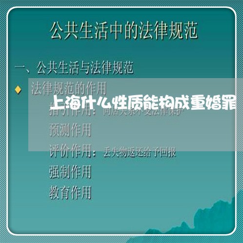 上海什么性质能构成重婚罪/2023031707158