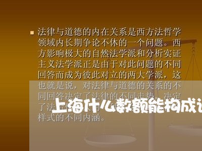 上海什么数额能构成诈骗罪/2023031706828