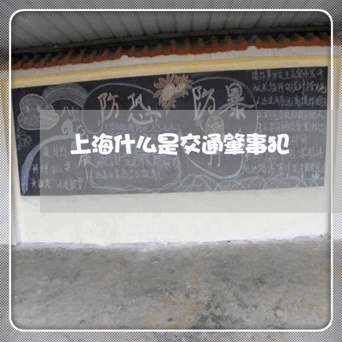 上海什么是交通肇事犯/2023021261483 上海什么是交通肇事犯/2023021261483