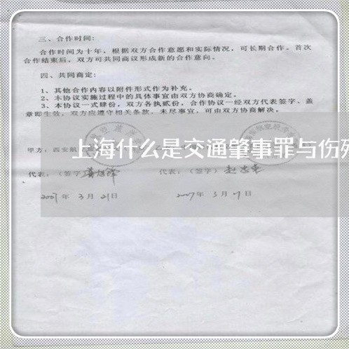 上海什么是交通肇事罪与伤残/2023033142517