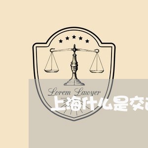 上海什么是交通肇事罪逃逸/2023031763784