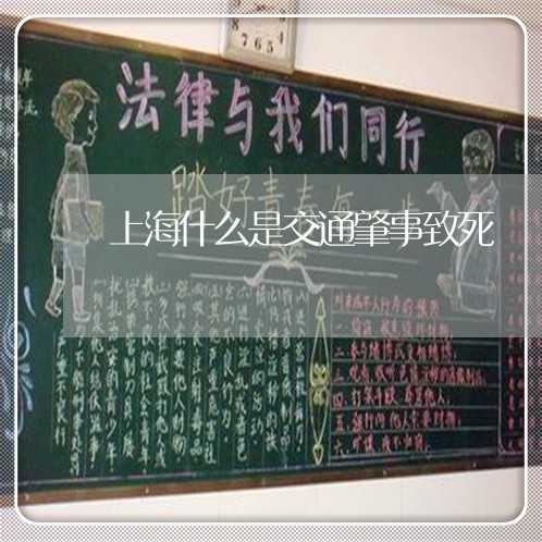 上海什么是交通肇事致死/2023022871515 上海什么是交通肇事致死/2023022871515